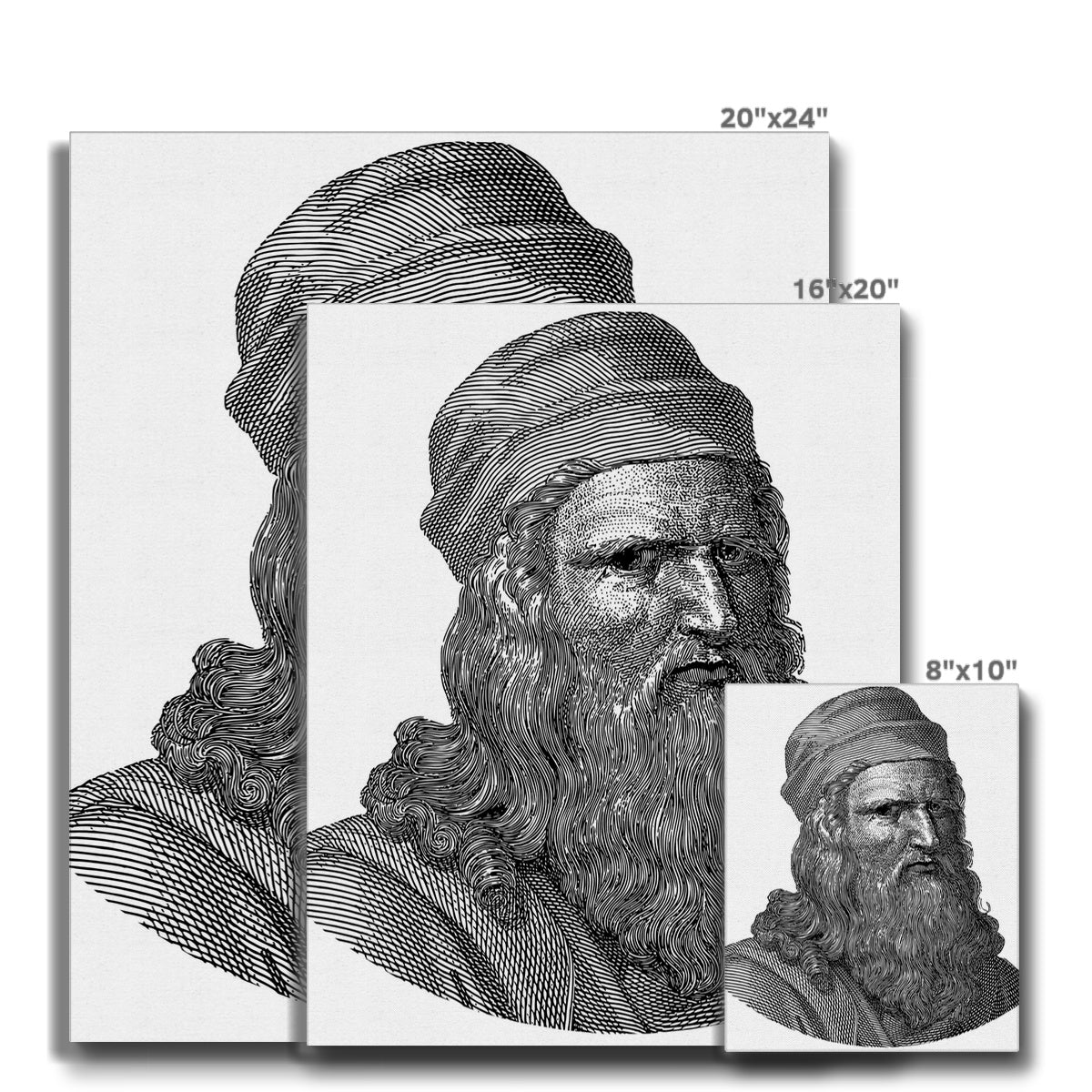 Leonardo Da Vinci Illustration  Canvas