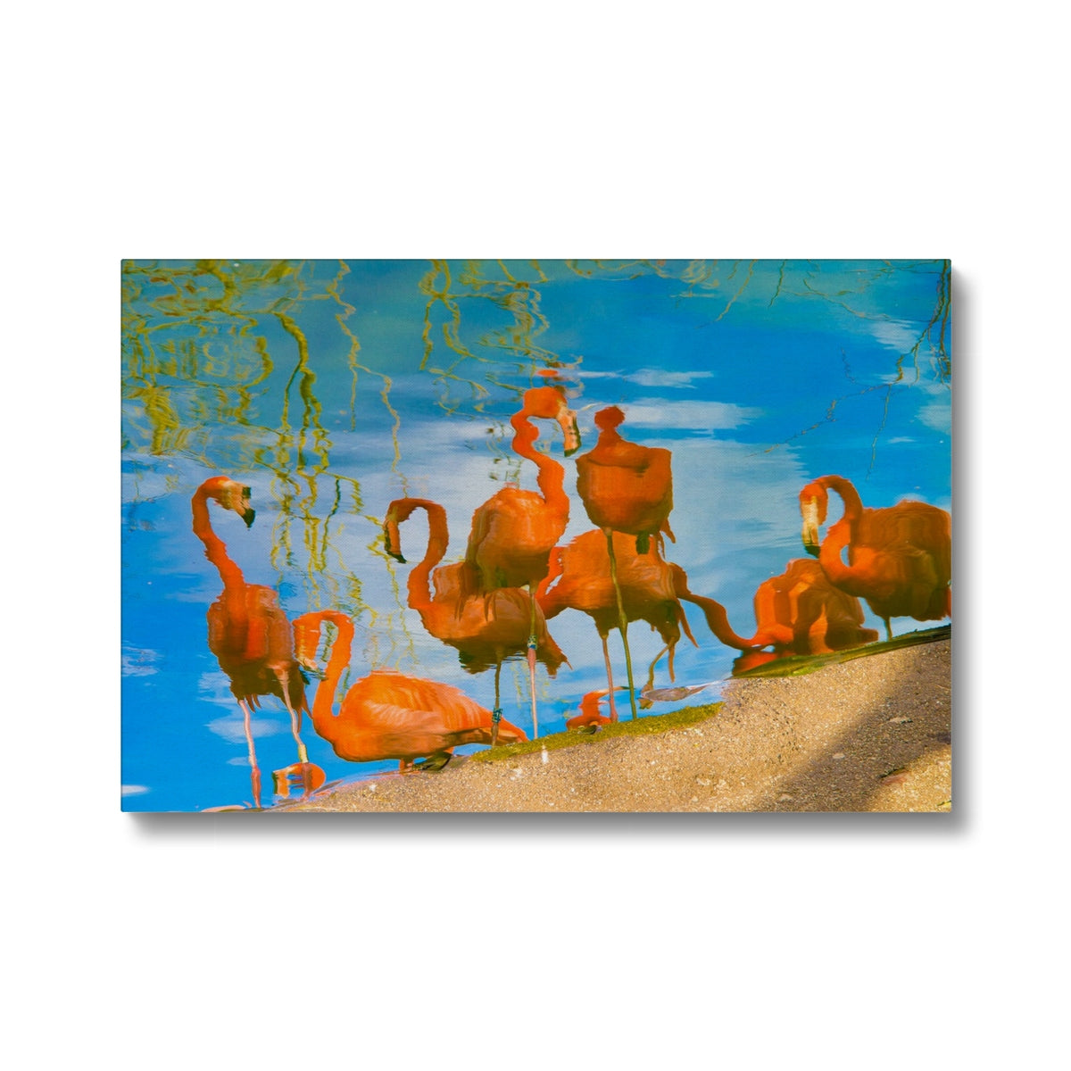 Flamingos On Beachside Canvas