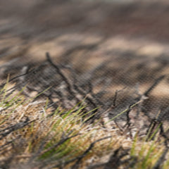 Golden Plover Chick Natural Beauty Canvas