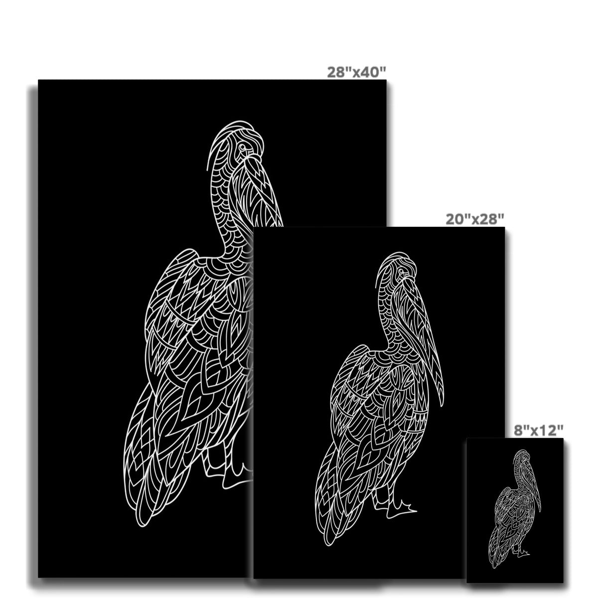 Black & White Pelican Illustration Canvas