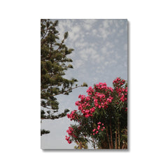 Aesthetic Sky & Pink Flowers Canvas