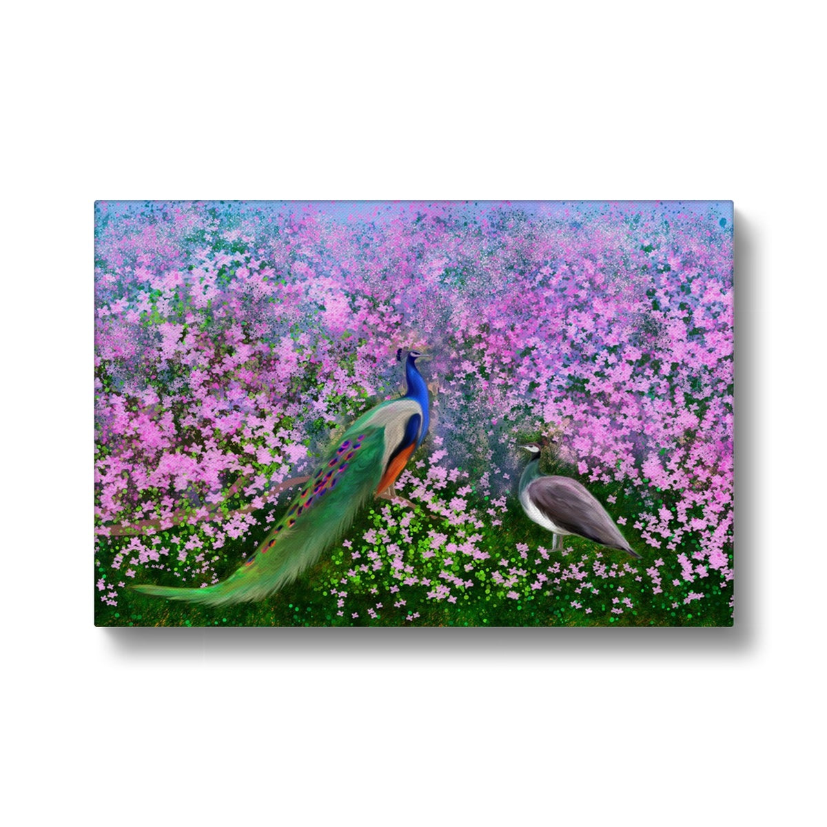 Peacocks in Pink Flower Garden Canvas