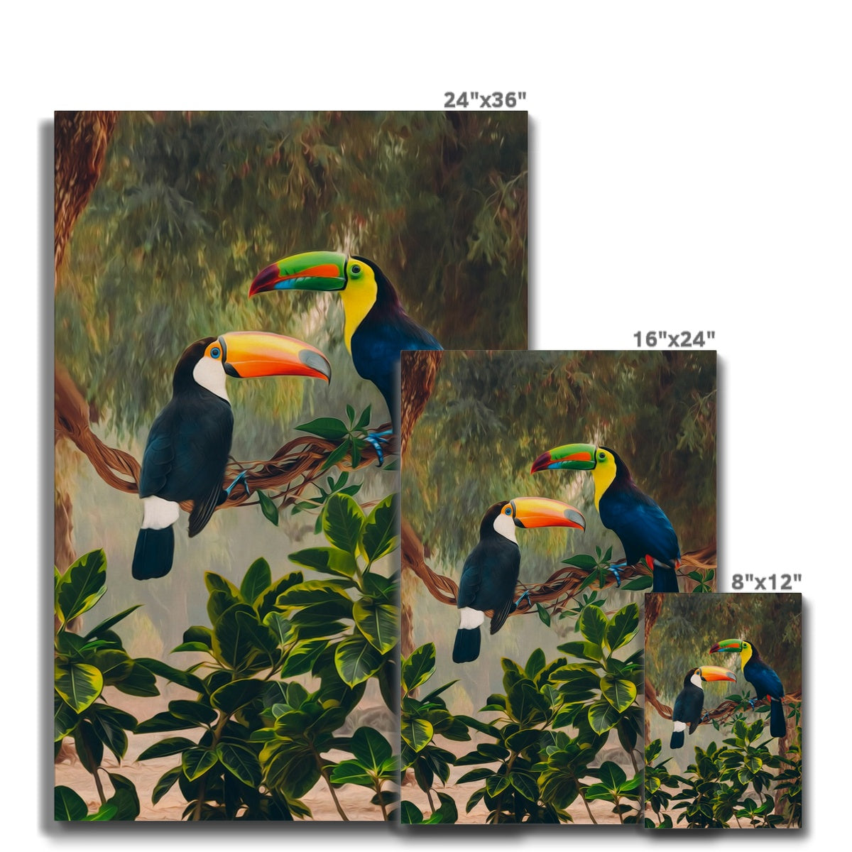 Toucans On A Tree  Canvas