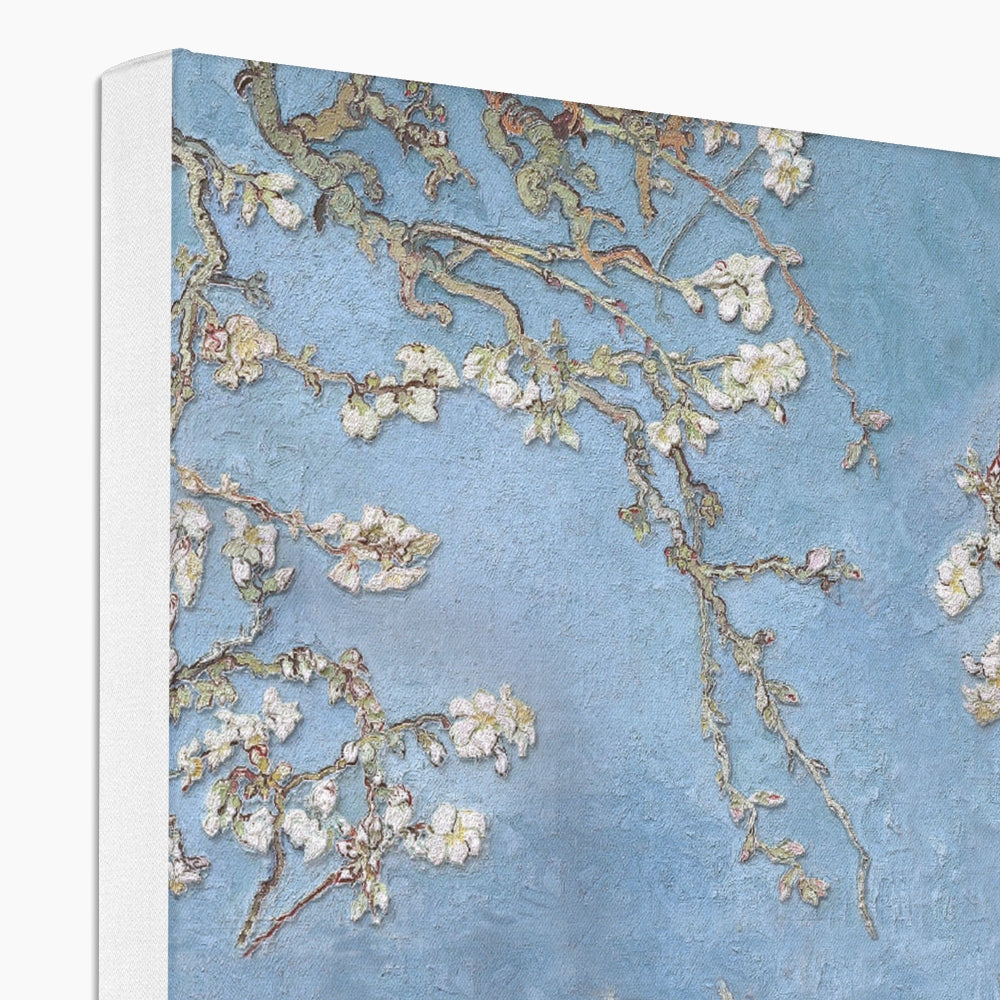 Mesmerizing White Flowers Canvas