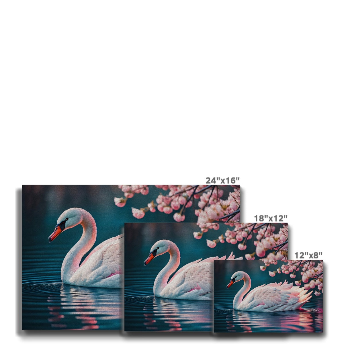 Striking Swan's Pink Illustration Canvas