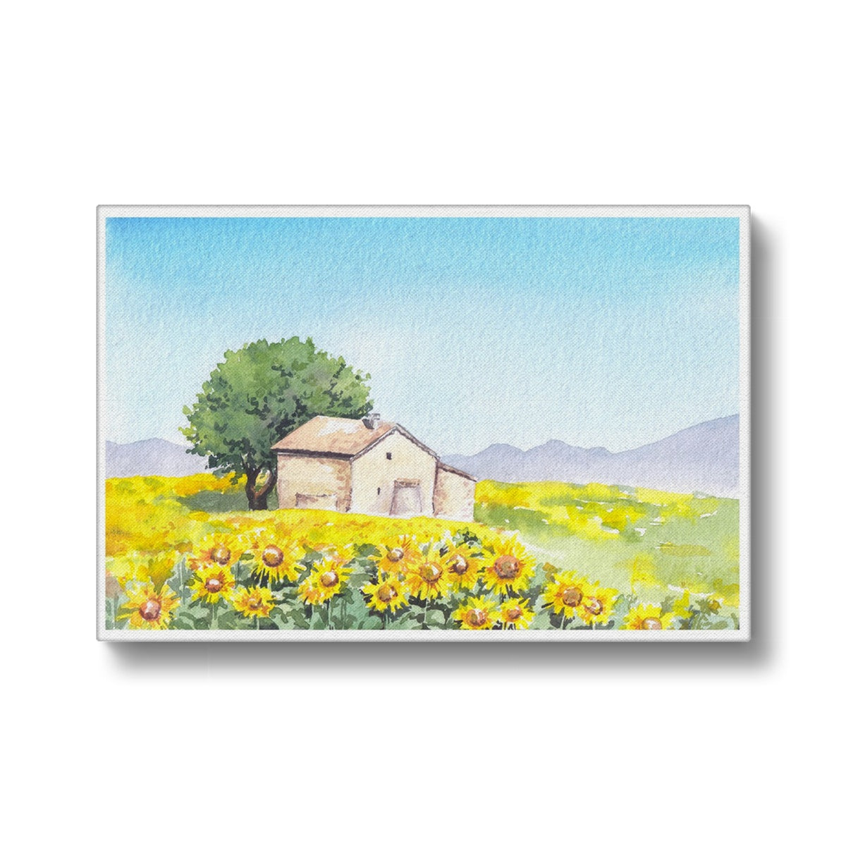 Farm & Sunflower Field Canvas