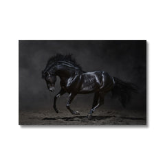 Ethereal Black Horse Portrait Canvas