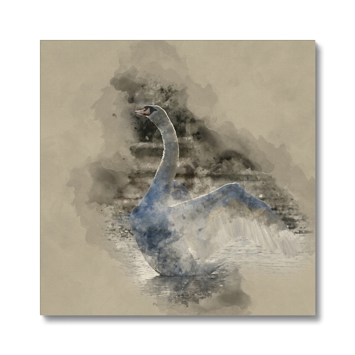 Foggy Swan Portrait Canvas