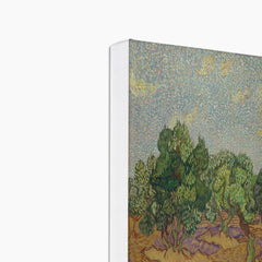 Olive Forest with Yellow Sky and Sun I By Vincent Van Gogh Canvas