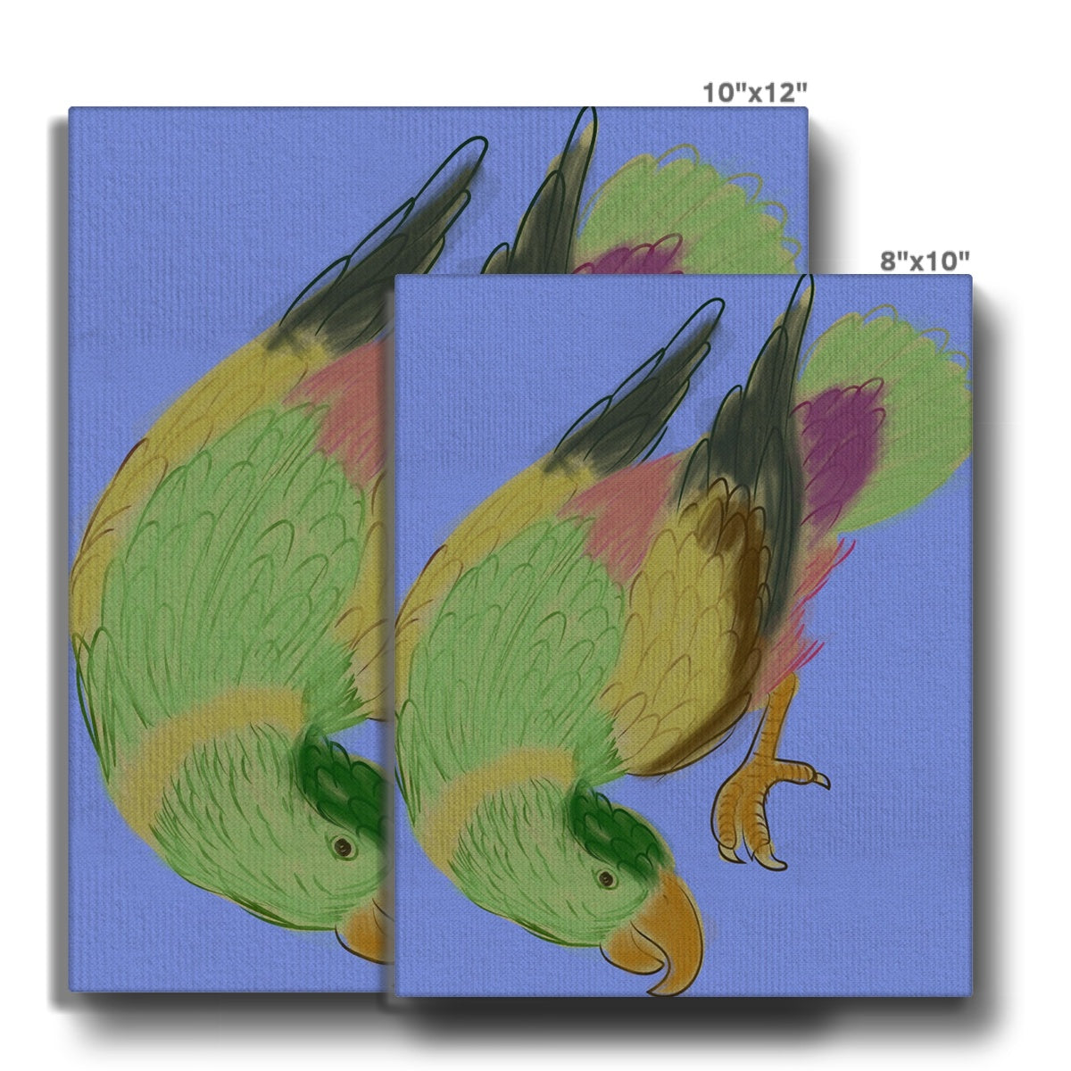 Green Parrot Portrait Canvas