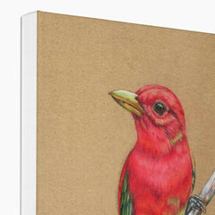 Amazing Pink Bird Canvas