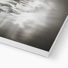 Three White Horses Canvas