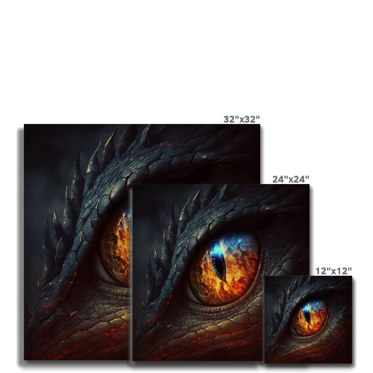 Gray Dragon Eye Art Canvas