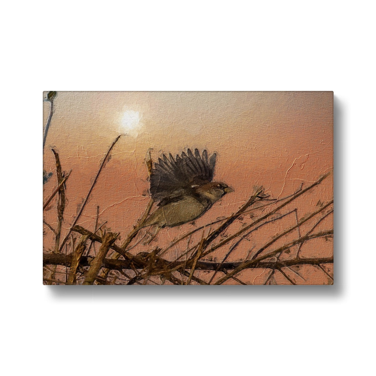 Sunset & Flying Sparrow Canvas