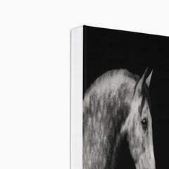 Grayscale Horse Oil Painting Canvas