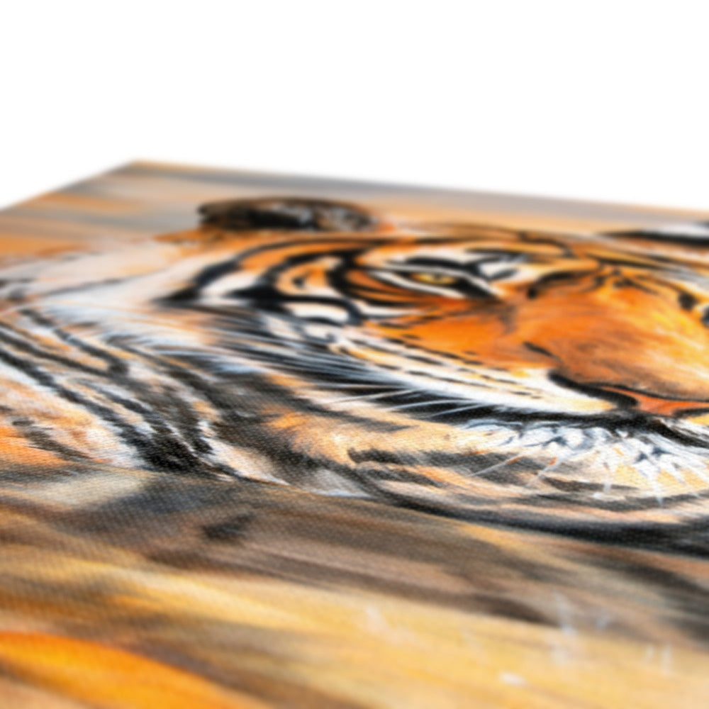 Magnificent Tiger Zoo Cat Illustration Canvas