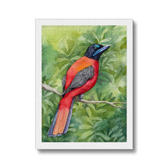 Orange Sparrow & Leaves Canvas