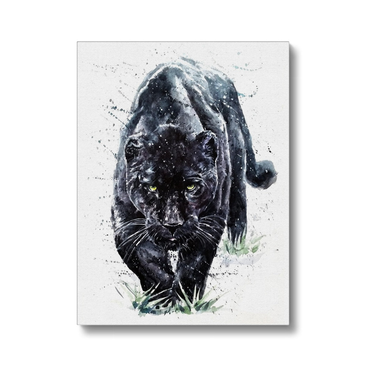 Majestic Black Zoo Cat Illustration Canvas