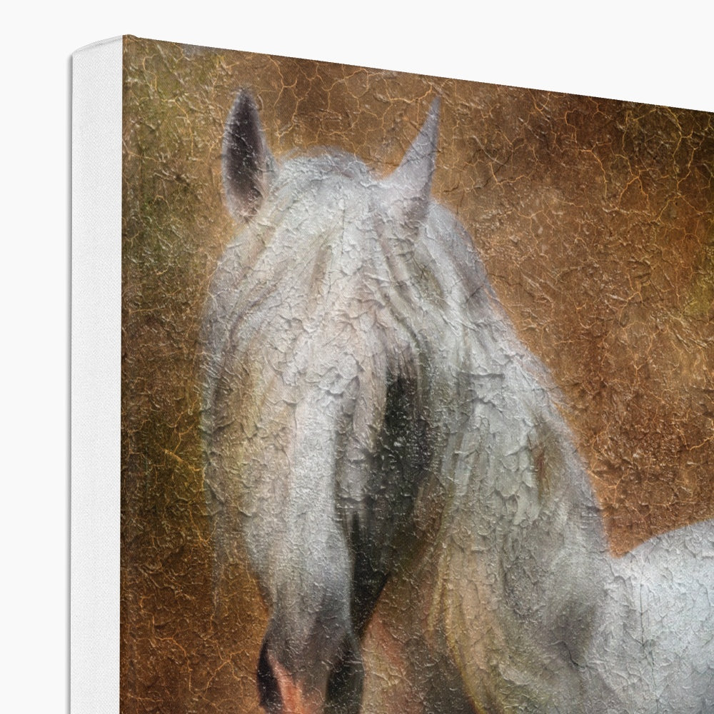 Remarkable White Horse Painting Canvas