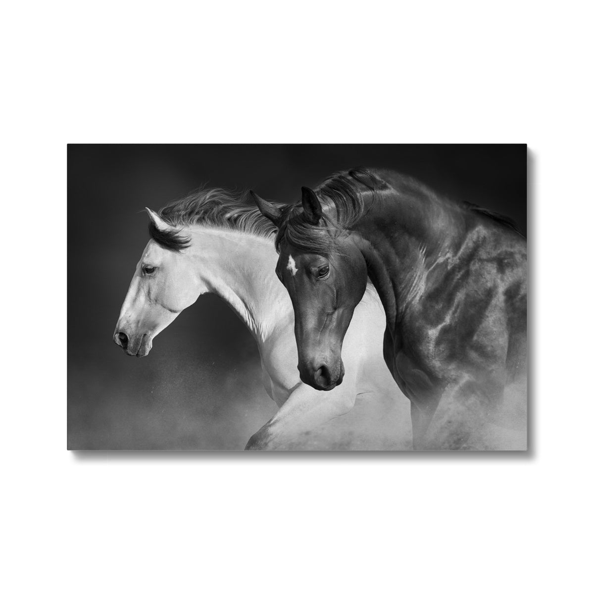 Black & White Horses Painting Canvas