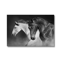 Black & White Horses Painting Canvas