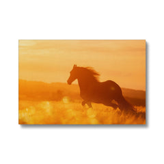 Horse & Golden Hour Canvas