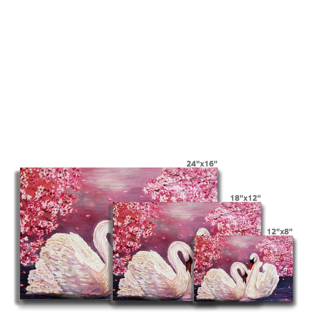 Swans & Cherry Blossom Trees Canvas