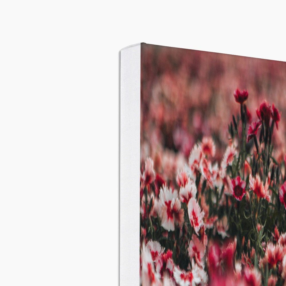 Aesthetic Pink Flowers Field Canvas