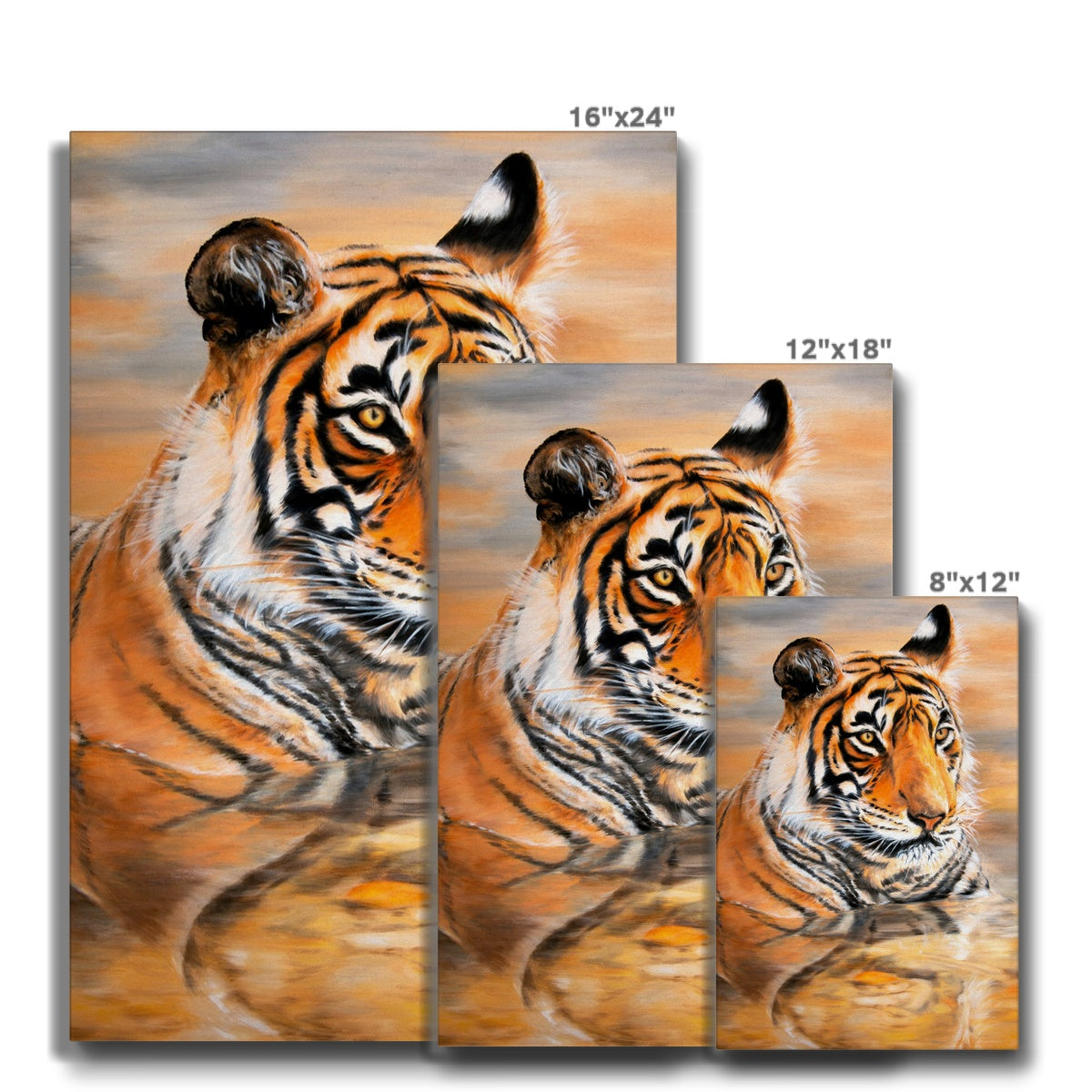 Magnificent Tiger Zoo Cat Illustration Canvas