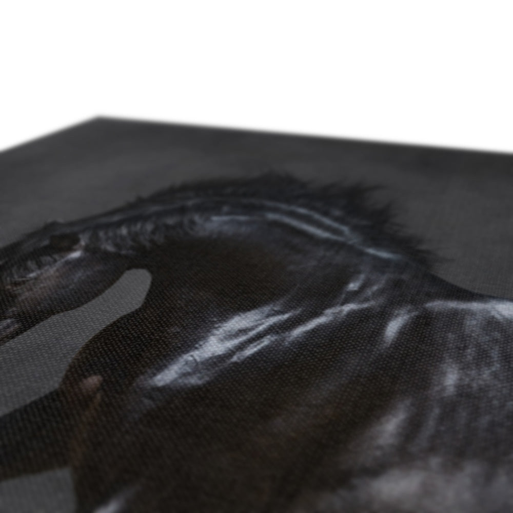 Ethereal Black Horse Portrait Canvas