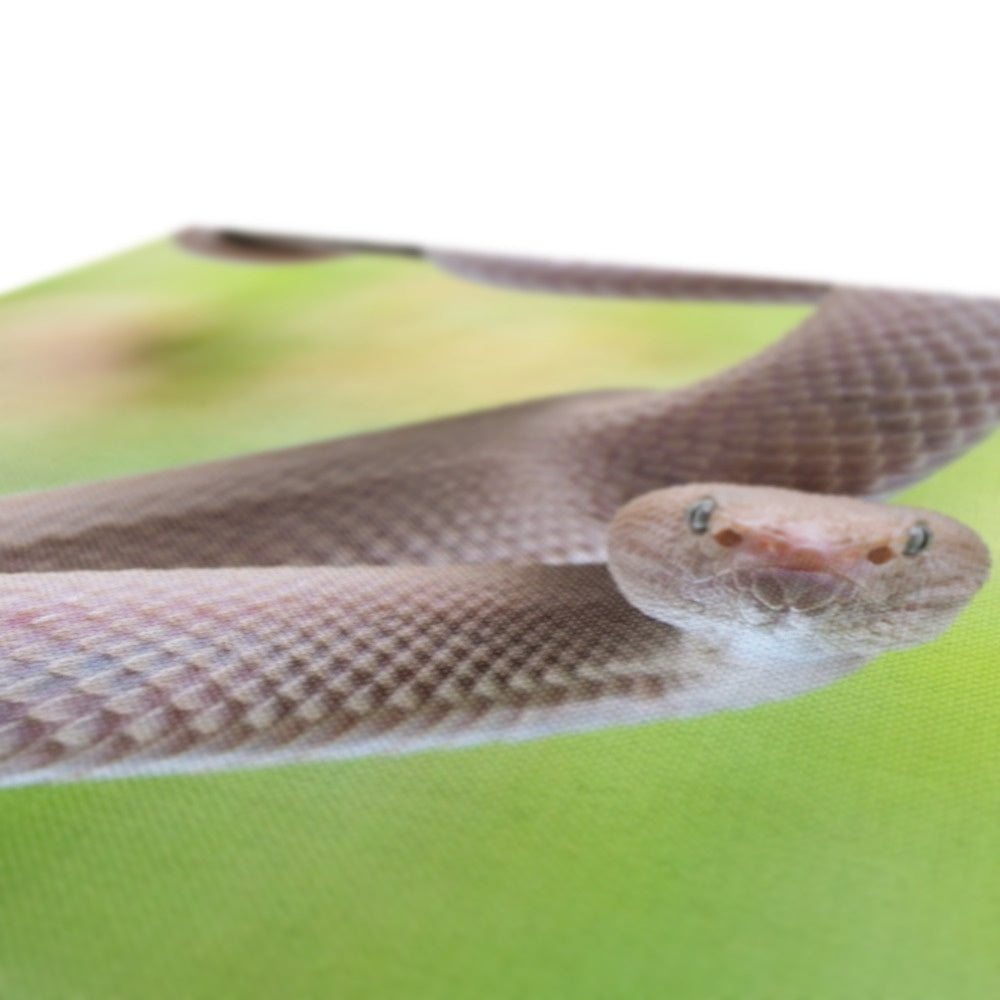 Ethereal Pink Snake Canvas