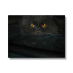 Amazing Black Scottish Fold Painting Canvas