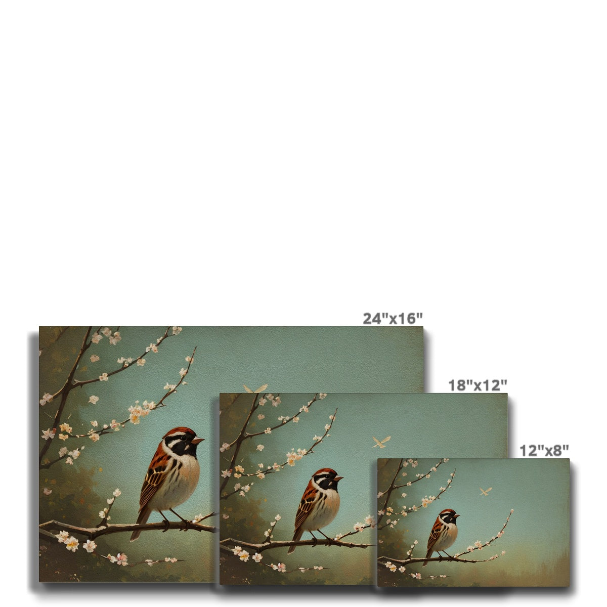 Small Sparrow & Cherry Blossom Canvas