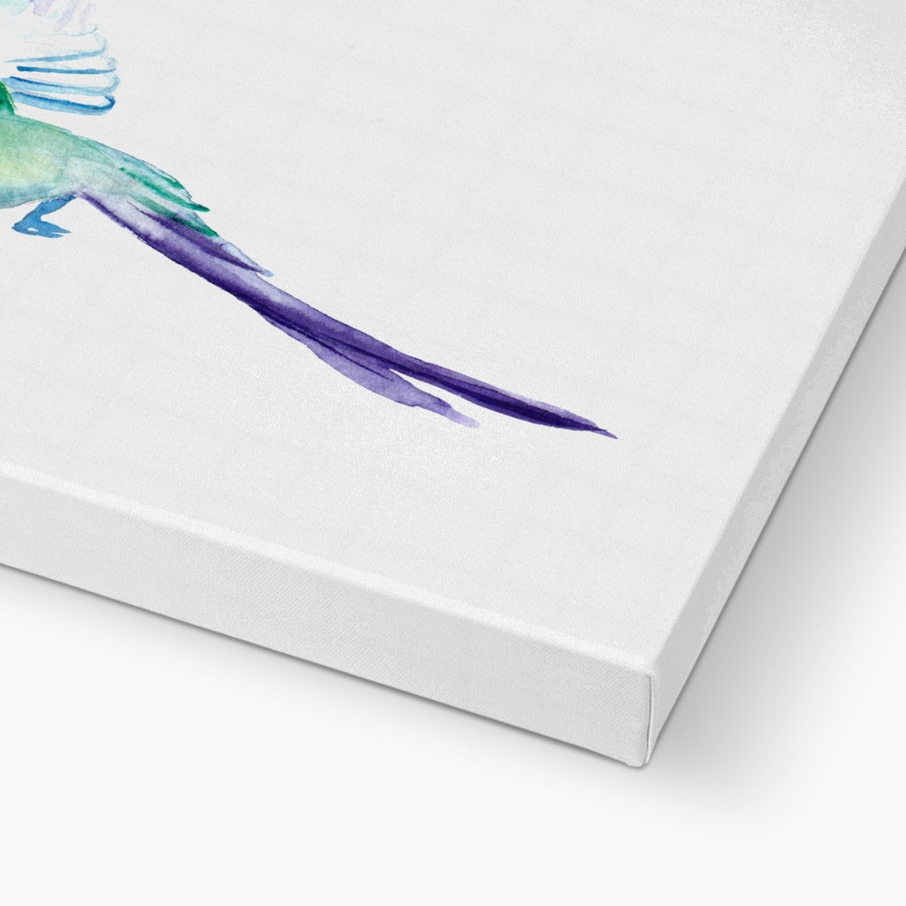 Dainty Hummingbird Canvas