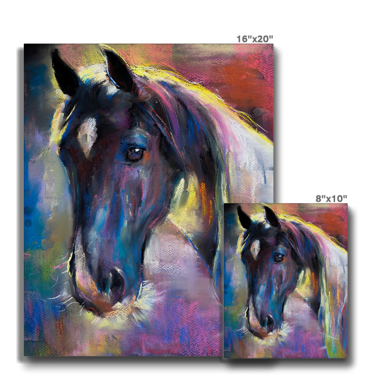 Multicolor Horse Portrait Canvas