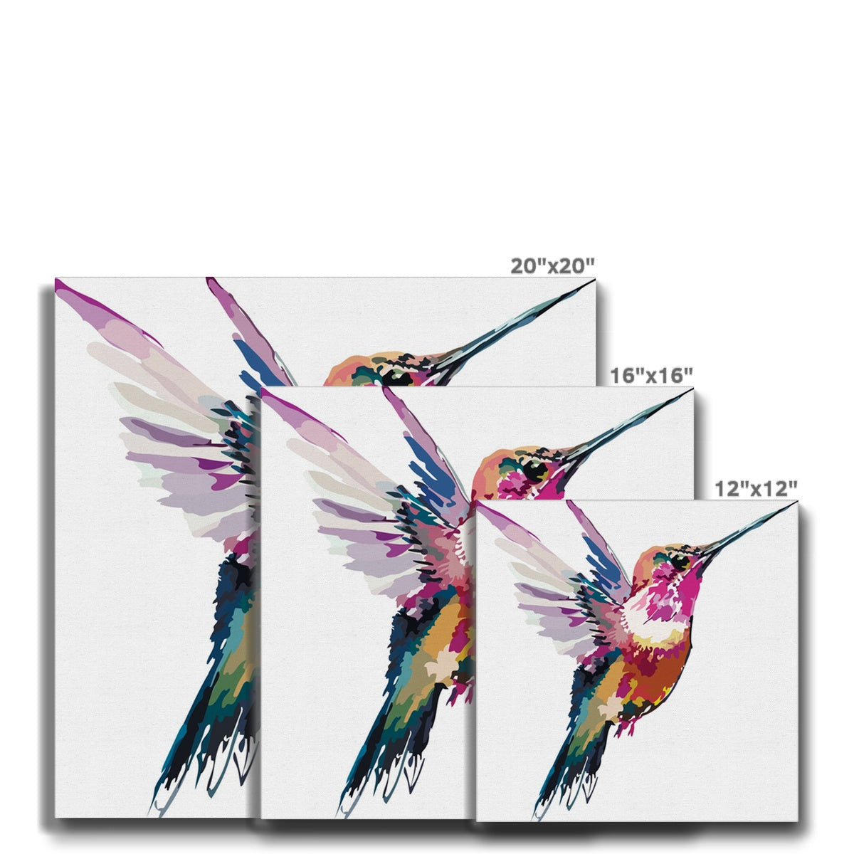 Multicolor Hummingbird Canvas