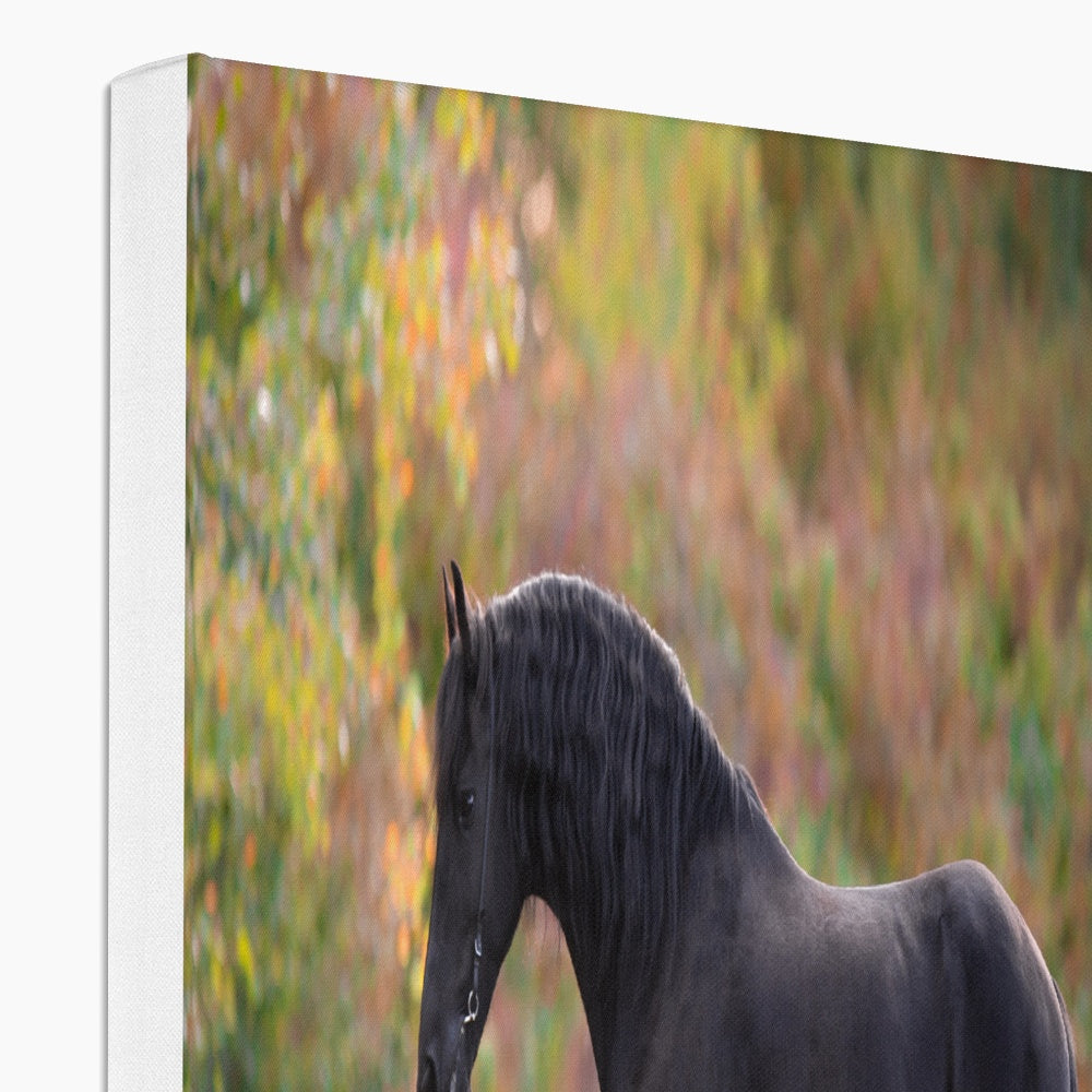 Charming Black Horse & Garden Canvas