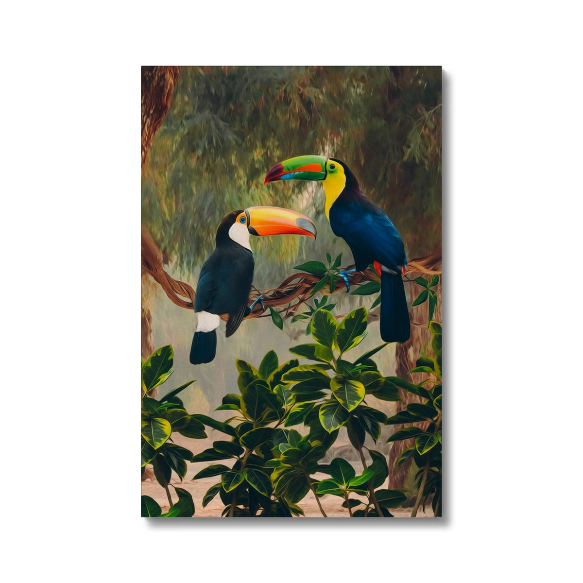 Toucans On A Tree  Canvas