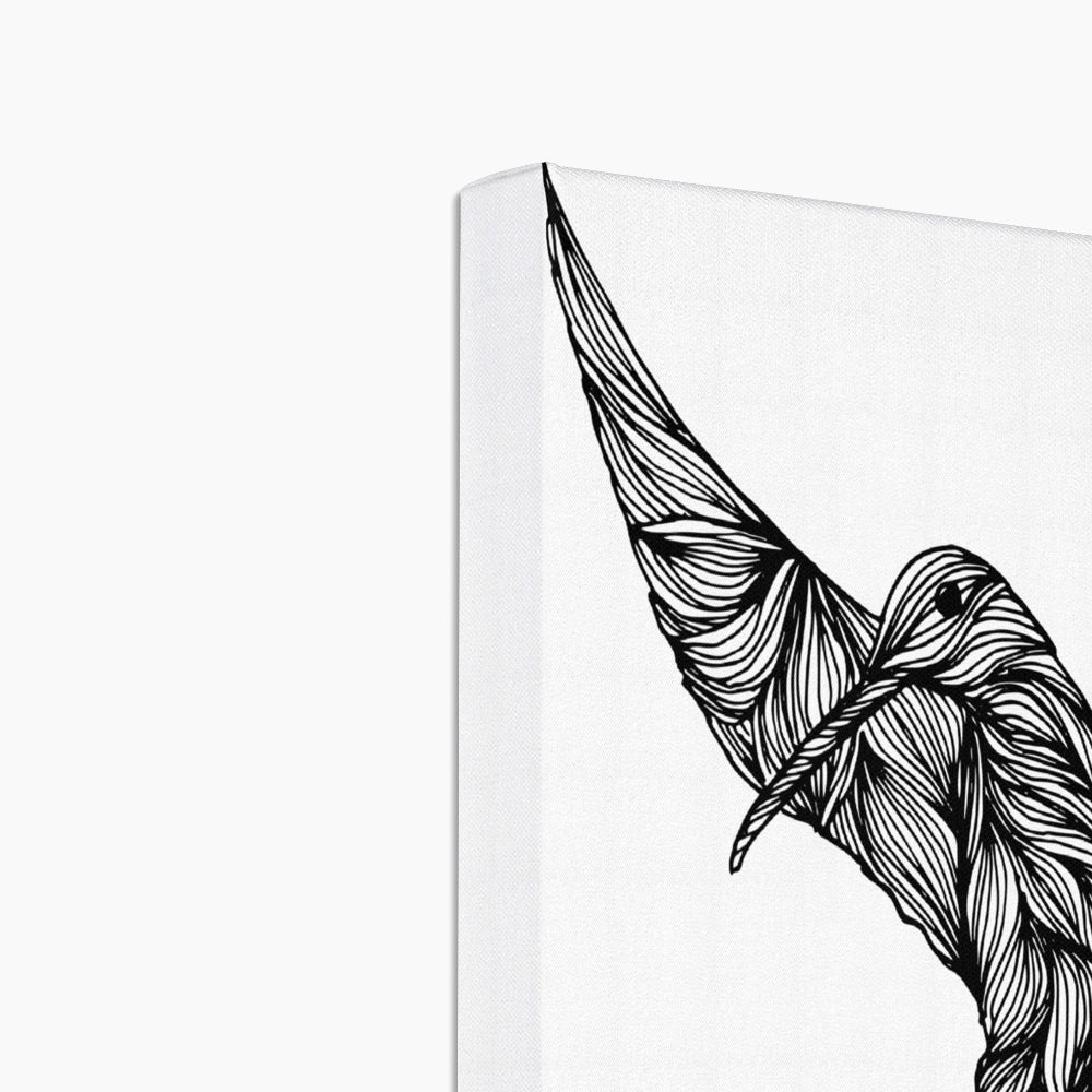 Black & White Hummingbird Portrait Canvas