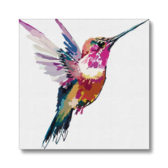 Multicolor Hummingbird Canvas