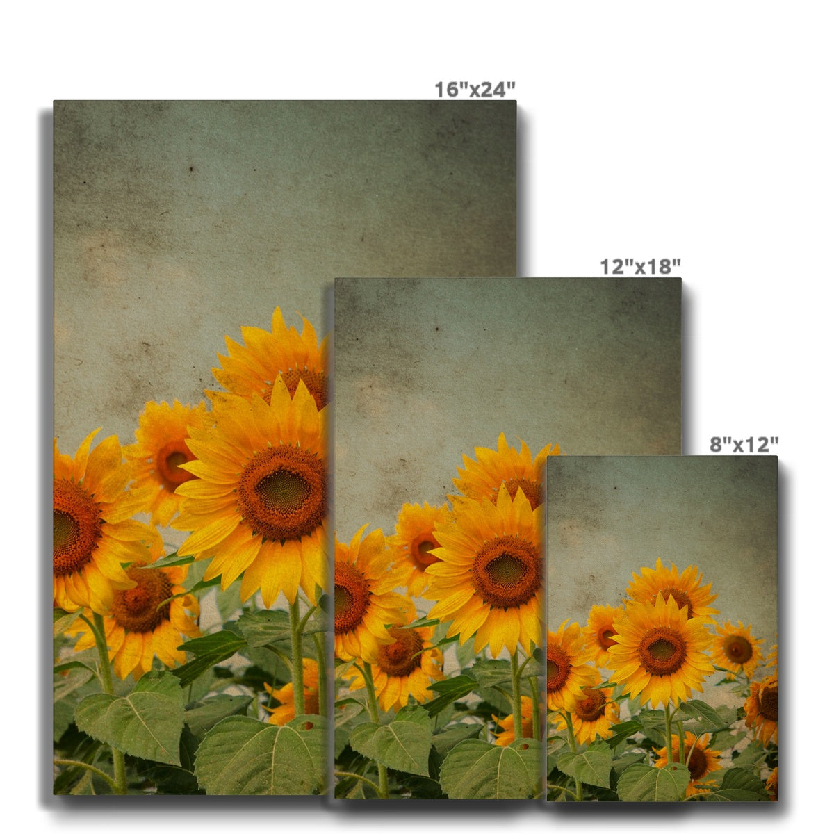 Abstract Sunflower Bunch Oil Painting Canvas