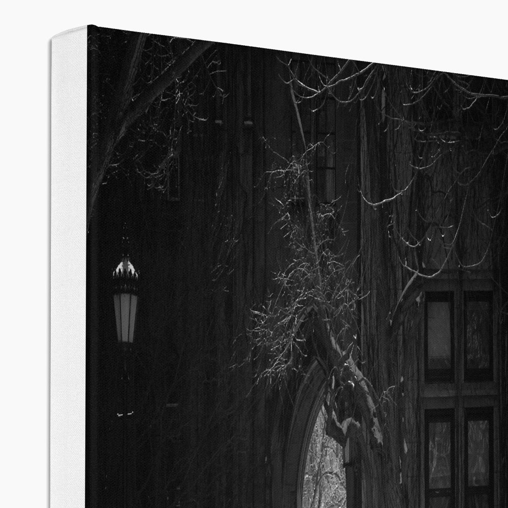 Greyscale Gothic Wall Decor Canvas