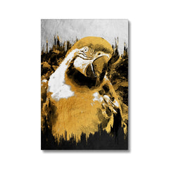 Black & Gold Parrot Canvas