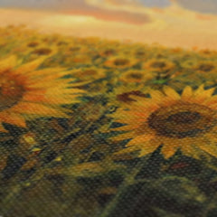 Sunflower Field & Sunset Canvas