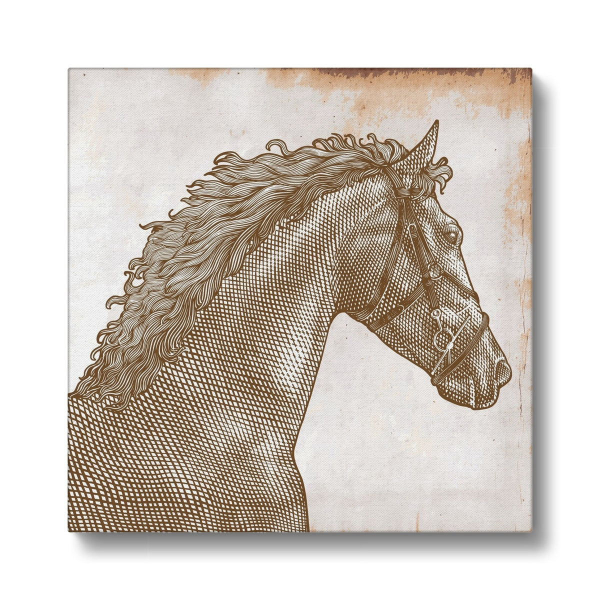 Grayscale Horse Portrait Canvas