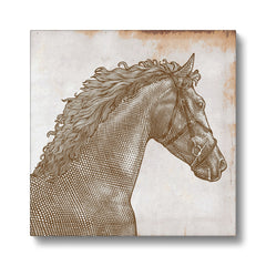 Grayscale Horse Portrait Canvas