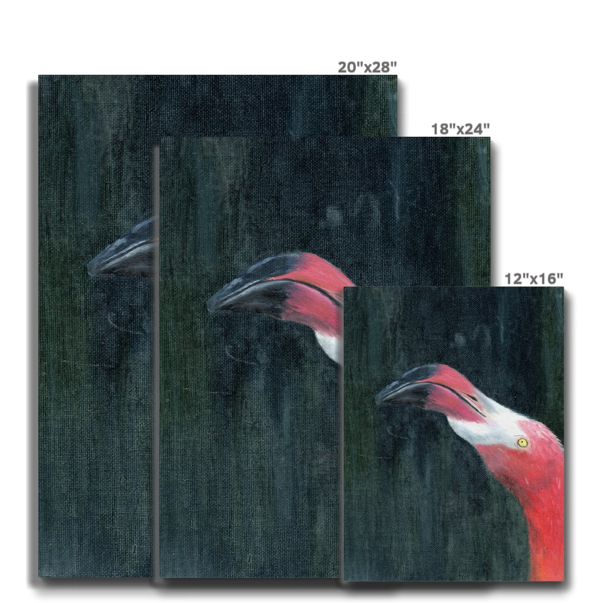 Flamingo's Impeccable Beak Canvas