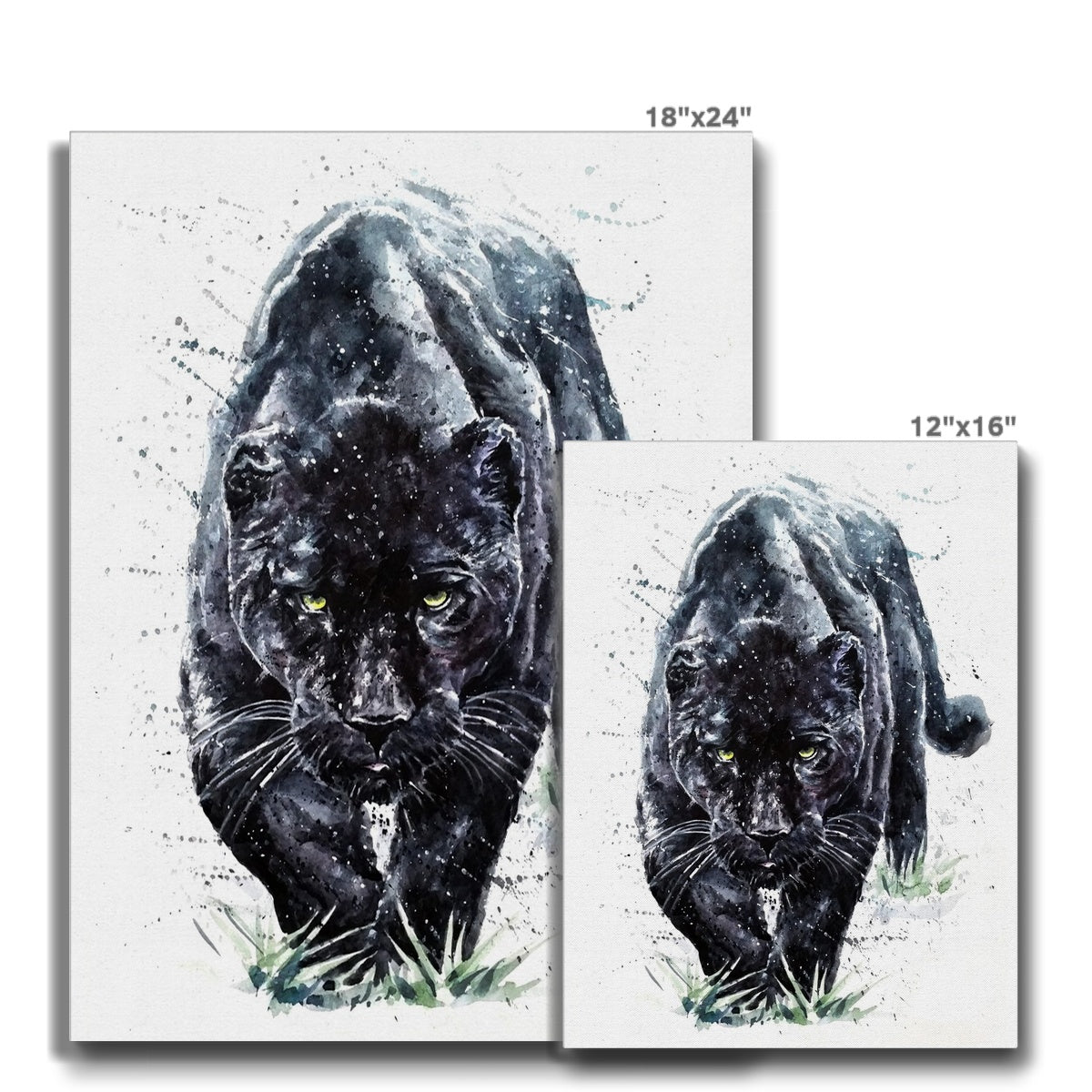 Majestic Black Zoo Cat Illustration Canvas