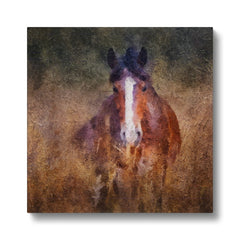 Inspiring Horse Oil Painting Canvas