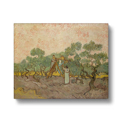 The Olive Orchard Painting I By Vincent Van Gogh Canvas